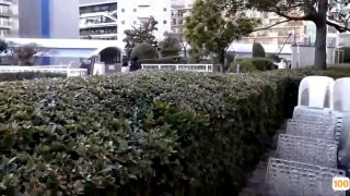 个人写真新西兰留学回来的，就是母狗骚逼【看简介同城一起开发她】
